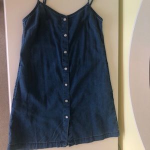 Aritzia Denim Dress